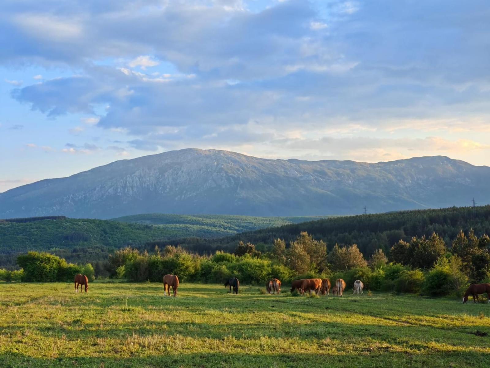 Ranc Crna Stina Villa Livno Exterior photo